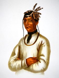 Caatosee z kmene Chippewa (barevné lito) od Charles Bird King