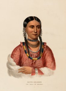 HAYNE-HUDJIHINI. Z knihy Dějiny indiánských kmenů Severní Ameriky. od Charles Bird King