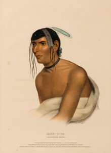 JACK-O-PA. A CHIPPEWA CHIEF., z knihy Dějiny indiánských kmenů Severní Ameriky. od Charles Bird King