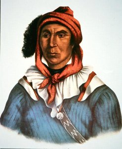 Julcee Mathla od Charles Bird King