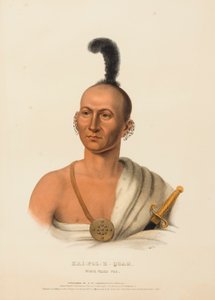 KAI-POL-E-QUAH, BÍLÁ NOSATÁ LÍSKA, z knihy Dějiny indiánských kmenů Severní Ameriky od Charles Bird King