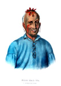 Kishkalwa, náčelník Shawnee od Charles Bird King