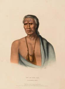 LAP-PA-WIN-SOE. DELAWARE CHIEF., z knihy Dějiny indiánských kmenů Severní Ameriky. od Charles Bird King