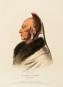 LE SOLDAT DU CHENE, AN OSAGE CHIEF., z knihy Dějiny indiánských kmenů Severní Ameriky od Charles Bird King