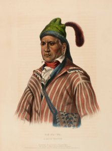 ME-NA-WA. KŘÍŽOVSKÝ VOJÁK, z knihy Dějiny indiánských kmenů Severní Ameriky od Charles Bird King