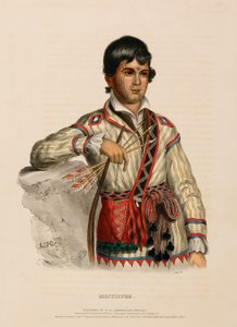 MISTIPPEE., z knihy Dějiny indiánských kmenů Severní Ameriky od Charles Bird King