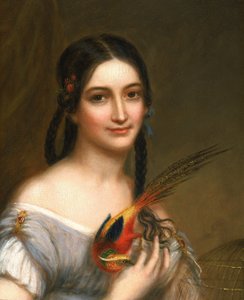 Slečna Satterleeová, ca. 1830-1839. od Charles Bird King