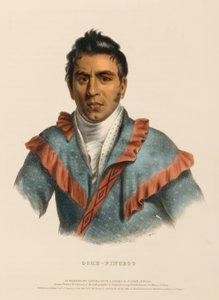 OCHE-FINCECO, z knihy Dějiny indiánských kmenů Severní Ameriky od Charles Bird King