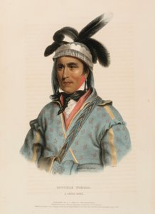 OPOTHLE YOHOLO. A CREEK CHIEF., z knihy Dějiny indiánských kmenů Severní Ameriky od Charles Bird King