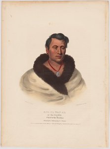 Ong-pa-ton-ga od Charles Bird King