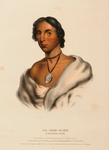 PA-SHE-NINE. ČIPPOVSKÝ VŮDCE, z knihy Dějiny indiánských kmenů Severní Ameriky od Charles Bird King