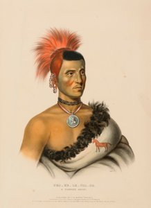 PES-KE-LE-CHA-CO, PAWNEE CHIEF., z knihy Dějiny indiánských kmenů Severní Ameriky. od Charles Bird King
