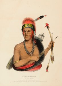 POW-A-SHEEK. LIŠČÍ ŠÉF. od Charles Bird King