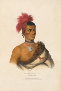  od Charles Bird King