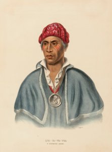 QUA-TA-WA-PLA. ČÍF SHAWANOE z knihy Dějiny indiánských kmenů Severní Ameriky od Charles Bird King