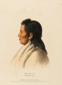 SHA-HA-KA. MANDANSKÝ NÁČELNÍK. od Charles Bird King