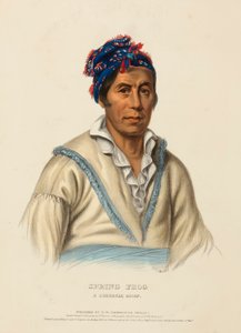 SPRING FROG. ČEROKEE CHIEF, z knihy Dějiny indiánských kmenů Severní Ameriky. od Charles Bird King