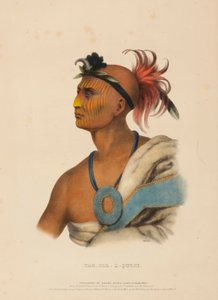 TAH-COL-O-QUOIT., z knihy Dějiny indiánských kmenů Severní Ameriky. od Charles Bird King