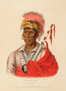 TEH-RO-HON, IOWEJSKÝ VOJÁK., z knihy Dějiny indiánských kmenů Severní Ameriky. od Charles Bird King