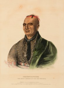 THAYENDANEGEA. VELKÝ KAPITÁN ŠESTI NÁRODŮ z knihy Dějiny indiánských kmenů Severní Ameriky od Charles Bird King