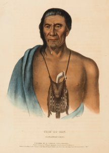TISH-CO-HAN. DELAWARE CHIEF., z knihy Dějiny indiánských kmenů Severní Ameriky. od Charles Bird King