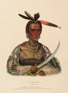 TO-KA-CON. A SIOUX CHIEF., z knihy Dějiny indiánských kmenů Severní Ameriky. od Charles Bird King