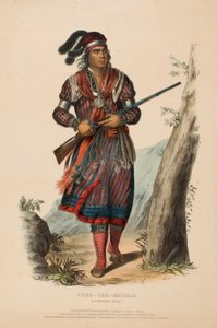 TUKO-SEE-MATHLA. SEMINOLE CHIEF., z knihy Dějiny indiánských kmenů Severní Ameriky. od Charles Bird King