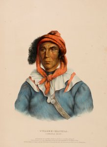 TULCEE-MATHLA. A SEMINOLE CHIEF., z knihy Dějiny indiánských kmenů Severní Ameriky. od Charles Bird King