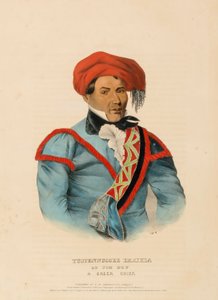 TUSTENNUGGEE EMATHLA, z knihy Dějiny indiánských kmenů Severní Ameriky od Charles Bird King