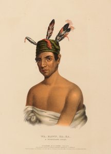 WA-KAWN-HA-KA, náčelník kmene WINNEBAGO., z knihy Dějiny indiánských kmenů Severní Ameriky. od Charles Bird King