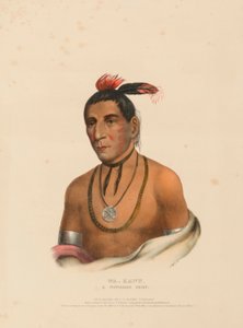 WA-KAWN, náčelník kmene WINNEBAGO, z knihy Dějiny indiánských kmenů Severní Ameriky. od Charles Bird King