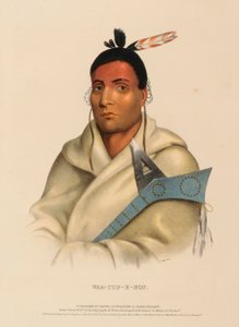 WAA-TOP-E-NOT., z knihy Dějiny indiánských kmenů Severní Ameriky od Charles Bird King