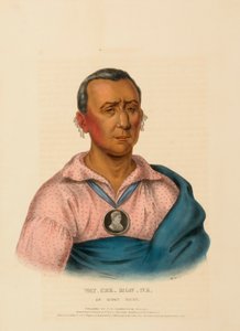 WAT-CHE-MON-NE, IOWAY CHIEF., z knihy Dějiny indiánských kmenů Severní Ameriky. od Charles Bird King