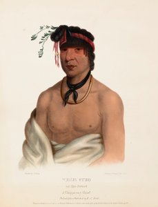 WESH-CUBB. A CHIPPEWAY CHIEF., Z historie indiánských kmenů Severní Ameriky od Charles Bird King