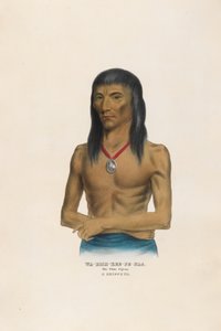  od Charles Bird King
