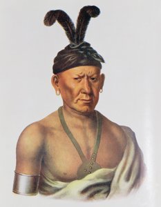 Wakechai nebo 