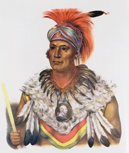 Wapella or the Prince Chief of the Foxes, 1837, ilustrace z 