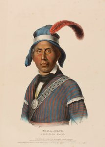 YAHA-HAJO. SEMINOLE CHIEF., z knihy Dějiny indiánských kmenů Severní Ameriky. od Charles Bird King