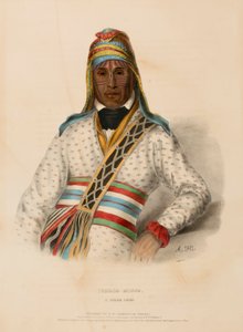 YOHOLO-MICCO. A CREEK CHIEF., z knihy Dějiny indiánských kmenů Severní Ameriky. od Charles Bird King