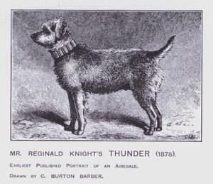 Hrom pana Reginalda Knighta od Charles Burton (after) Barber