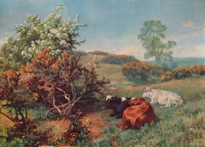 Krajina s dobytkem v současné době, Dorking, c1899