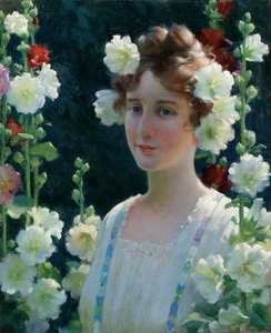 Mezi Hollyhocks