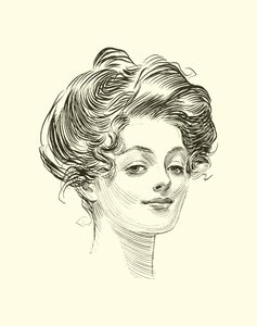 Ilustrace pro The Social Ladder od Charles Dana Gibson