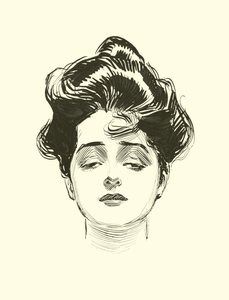 Ilustrace pro The Social Ladder od Charles Dana Gibson