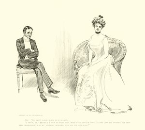 Ilustrace pro The Social Ladder od Charles Dana Gibson