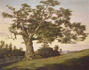 The Charter Oak od Charles de Wolf Brownell