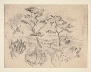 Krajina (Bermudy nebo Provincetown?) od Charles Demuth