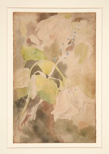 Broskvová růže od Charles Demuth