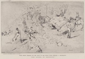 Povstání v Rhodesii od Charles Edwin Fripp