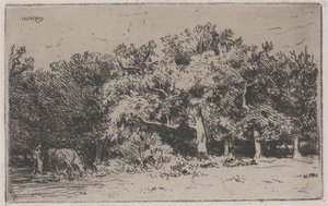 Koutek lesa Fontainebleau (lept) od Charles Emile Jacque
